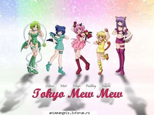 poze din echipa mew)