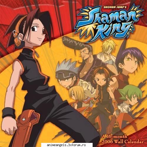 poze shaman king pun placa