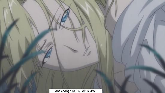 poze lagend phoenix poza :::Layla admin:::