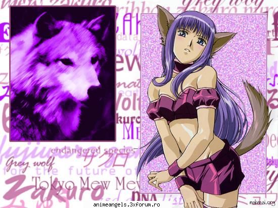 Personajul preferath - hmmm....mie imi place cel mai mult Renee e cea - Mew Mew Power