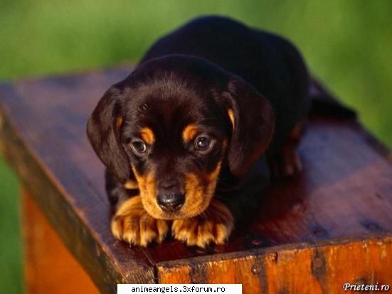 hai there...!!!! - sorry ca nu am fost atenta.sunt mai - Noi veniti